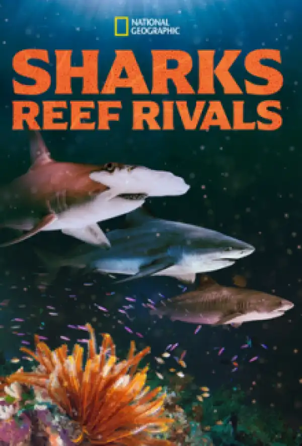 Sharks Reef Rivals (2026)