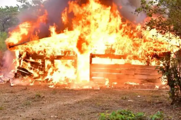 NDLEA Storms Edo Forests, Razes 317 Tons Cannabis Warehouses