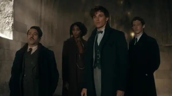 David Yates Says Fantastic Beasts Franchise is Paused For Now