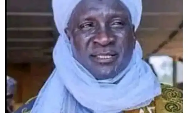 Bandits kill Niger monarch, sibling of Tinubu’s agriculture minister