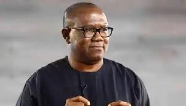 Bloomberg Recognizes Peter Obi As Presidential Poll Leader