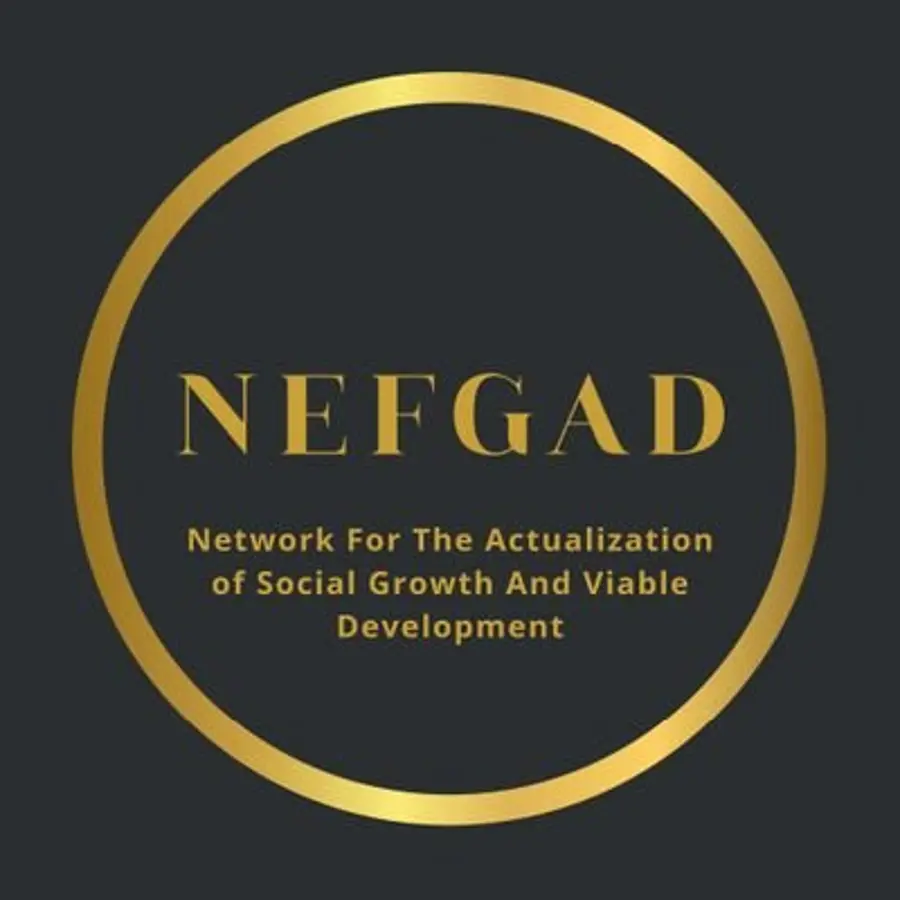 NEFGAD urges Tinubu, NASS to probe unlawful alterations of tax laws