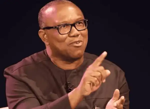 Hold Me Responsible If I Don’t Change Nigeria —peter Obi