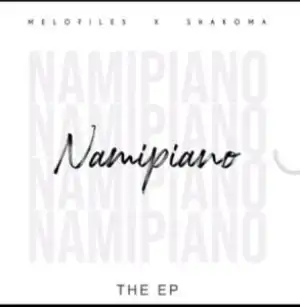 Melofiles & Shakoma ft Dwayne & Milla – The One