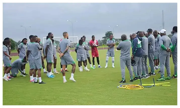 Friendly: Super Eagles to face Russia, Ghana in June