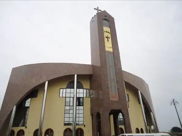 Catholic Priest Slumps And Dies While Preaching During On Sunday (Video)