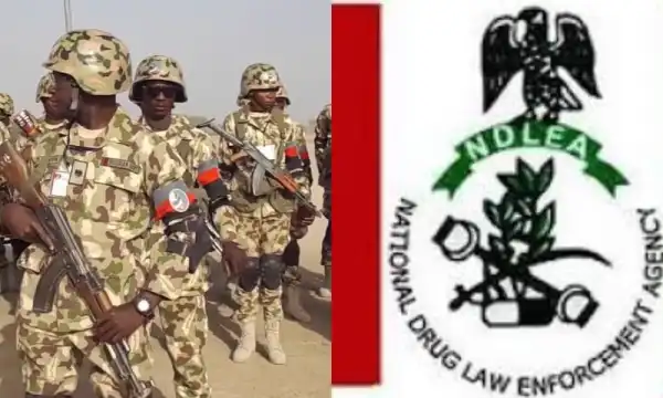 Troops, NDLEA arrest five suspected drug dealers in Sapele