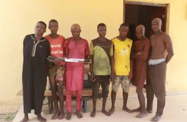 Police Arrest Seven Suspects For Thuggery In Minna