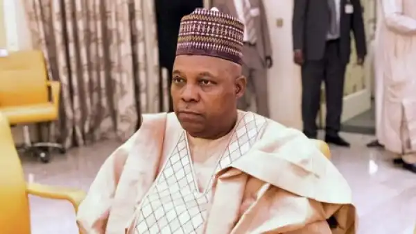 2023: Northerners Are Refusing To Support Me Because Of My Ethnicity – Shettima Laments
