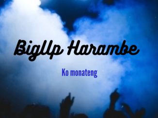 BigUp Harambe – Danger