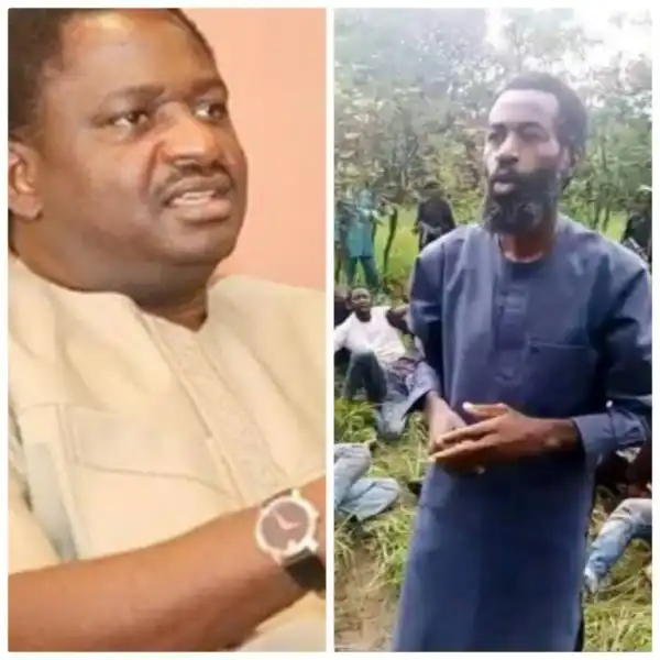 Terror Victim Hassan Usman Spoke From Lack Of Enough Information - Femi Adesina Speaks