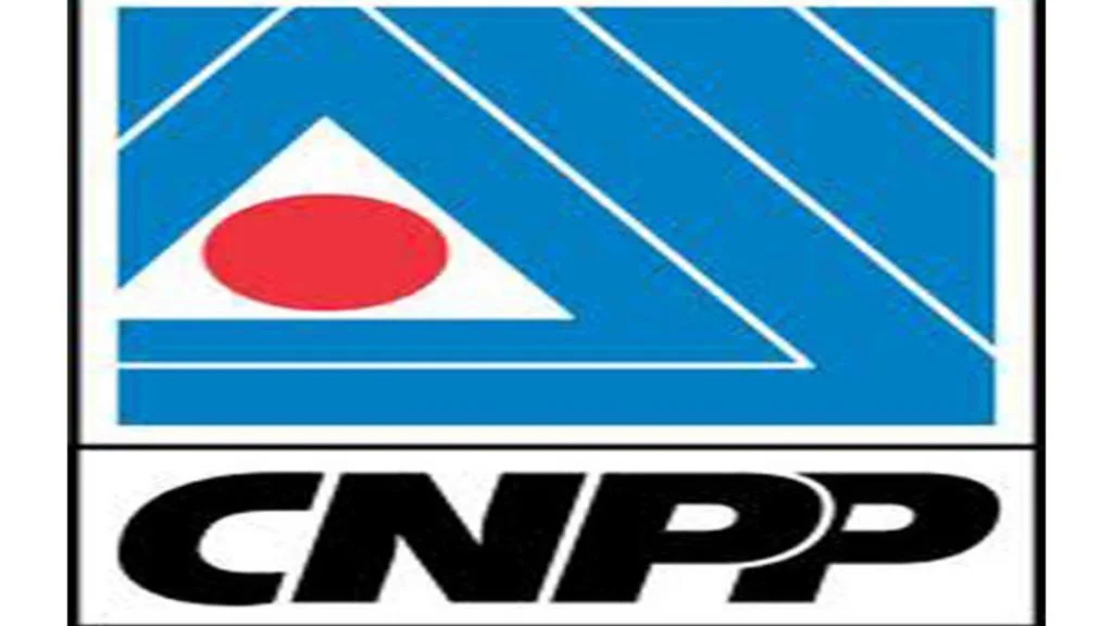 CNPP, Civil society groups demand resignation of minister of power over electricity crisis