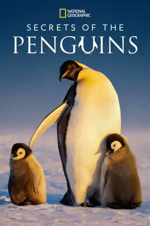 Secrets of the Penguins (2025 TV series)