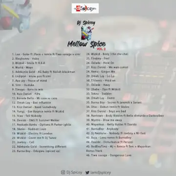 DJ Spicey – Mellow Spice Mix (Vol. 2)
