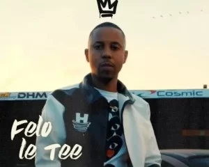 Felo Le Tee & DBN gogo – Idlozi ft. Young Stunna & Reason
