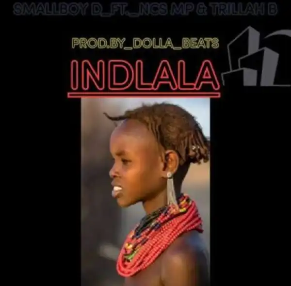 Smallboy D & NCS MP – Indlala ft. Trillah B
