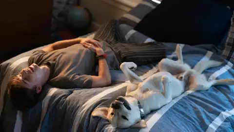 Dog Gone Trailer & Poster Preview Touching Rob Lowe-Led Drama