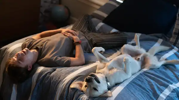 Dog Gone Trailer & Poster Preview Touching Rob Lowe-Led Drama