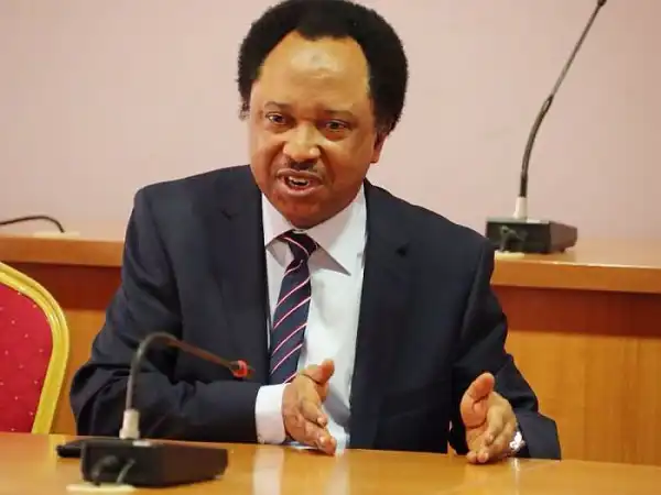 Shehu Sani Reacts As Boko Haram Attacks Borno Gov’s Convoy, Kills Policemen, Soldiers