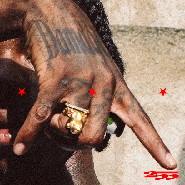 255 – Damage ft. Naira Marley & Zinoleesky