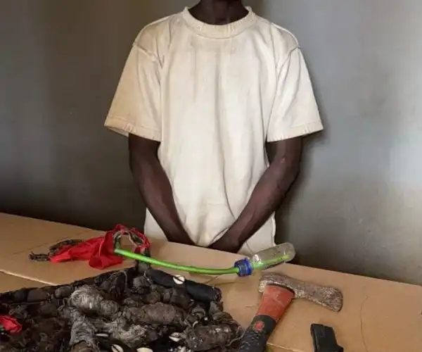 Lagos: Police arrest suspected cultist, recover pistol, axe, others in Ikorodu