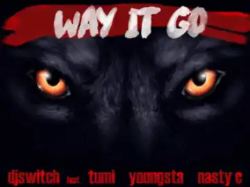 DJ Switch – Way It Go Ft. Stogie T, Nasty C & YoungstaCPT