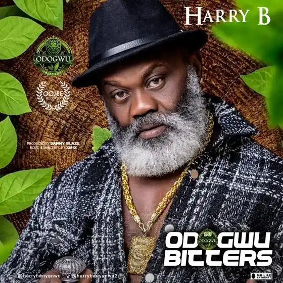 Harry B – Odogwu Bitters