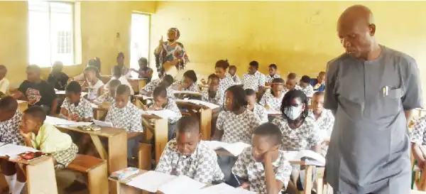 Registering underage pupils for common entrance dangerous – FG