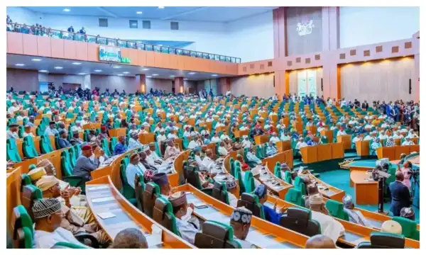 2027: Opinion divided as Reps ‘cage politicians’ ahead of party primaries