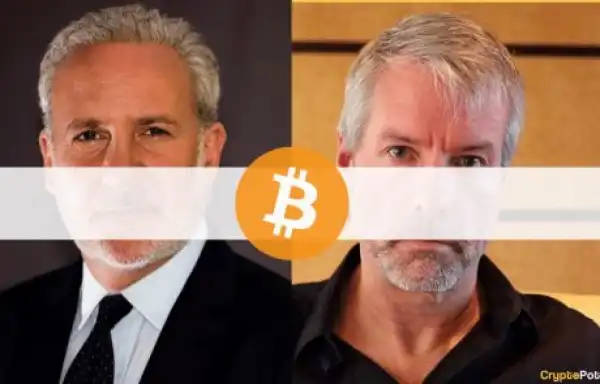 You Already Have More Than Enough Bitcoin: Peter Schiff Tells Michael Saylor