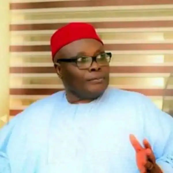 NEC Meeting: Nigerians Want PDP to Rescue Them From APC – BoT Chair, Wabara