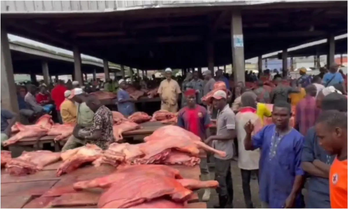 Oko-Oba Abattoir to remain closed until operators meet hygiene standards – Lagos govt
