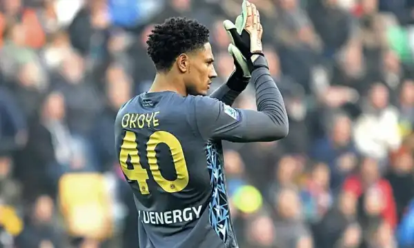 Serie A: Okoye reflects on Udinese’s defeat against Inter Milan