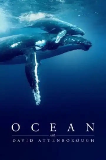 Deep Ocean Kingdom Of The Coelacanth (2025)