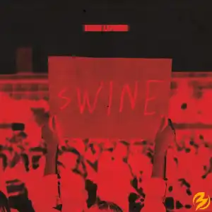 Demi Lovato – SWINE