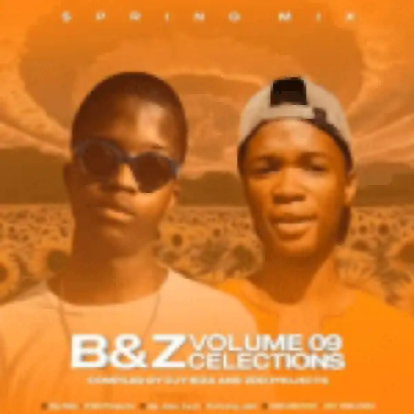Djy Biza ZDD Projects – B Z Clections Vol.09