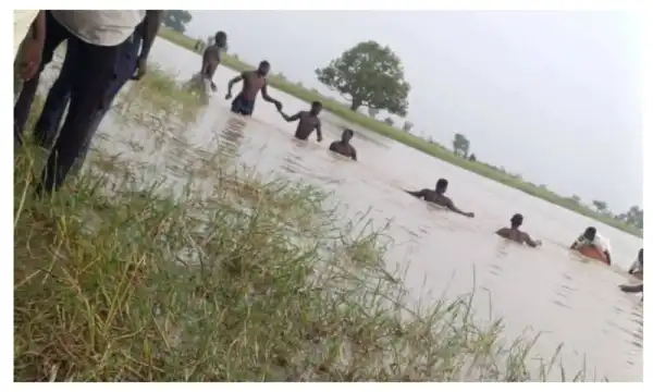 One child rescued, another missing after river incident in Yobe