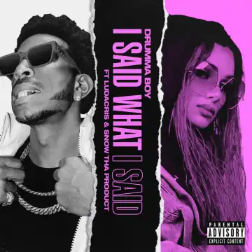 Drumma Boy - I Said What I Said ft. Ludacris, Snow Tha Product