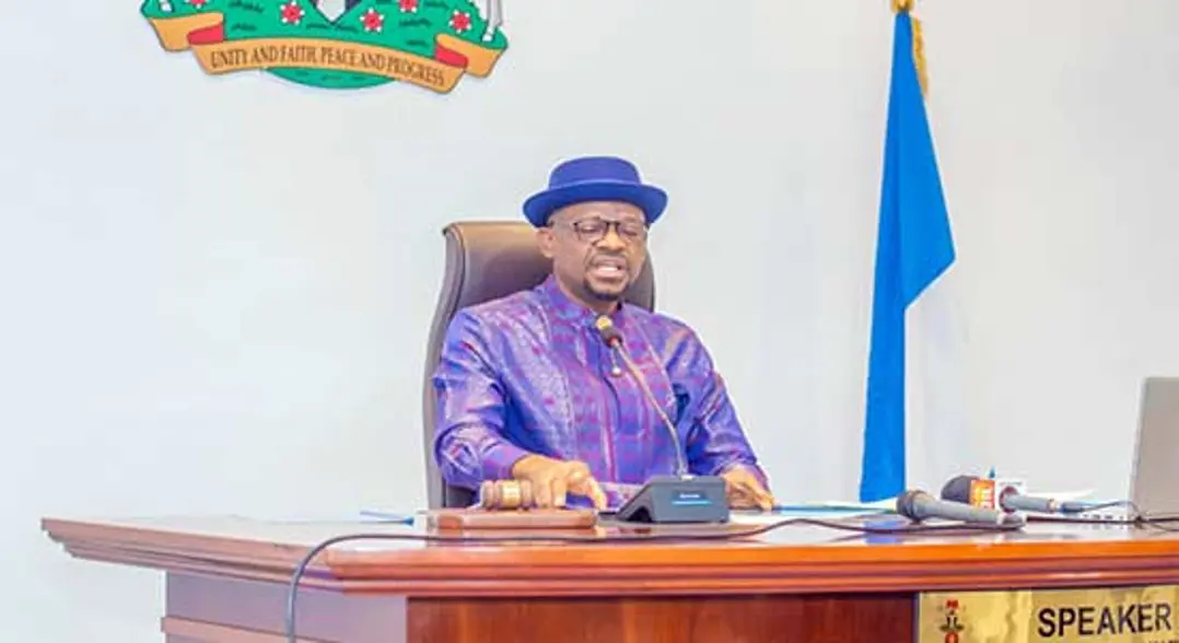 Amaewhule hails voter turnout, says voters conscious of election process