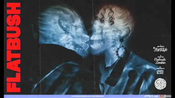 Flatbush Zombies - Afterlife (Video)