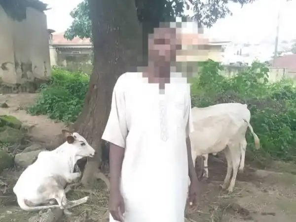 Police rescue kidnap victims, neutralise suspects in Niger
