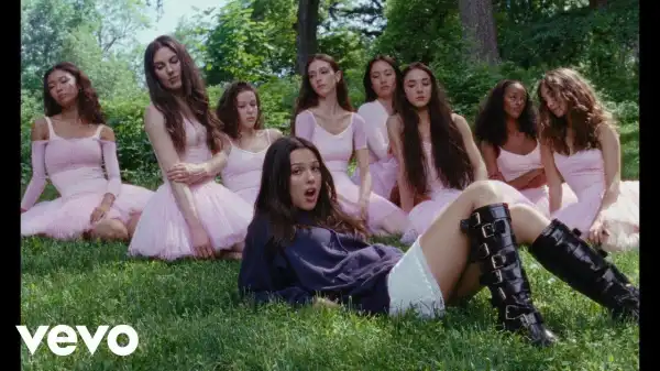 Olivia Rodrigo - stupid song (Video)