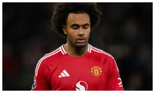 Transfer: Man Utd identify striker to sign as Joshua Zirkzee’s replacement