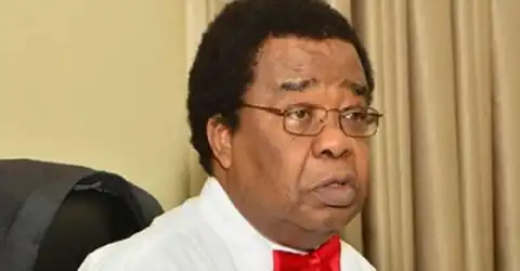 Venezuela: Nigeria should aspire for power no country in Africa can defeat – Ex-Minister, Akinyemi