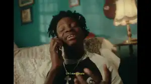 Lasmid - Puul (Video)