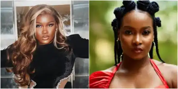 I’m Shocked At The Narrative, Nobody Bullied Ilebaye – Ceec