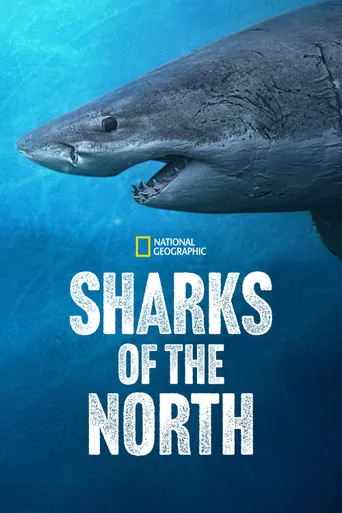 Sharks of the North (2025)