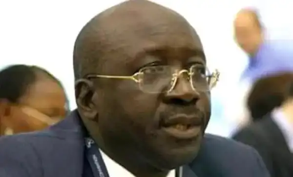 Those Calling For My Resignation Are Children Who Do Not Know Why We Formed The Party - PDP National Chairman, Iyorchia Ayu