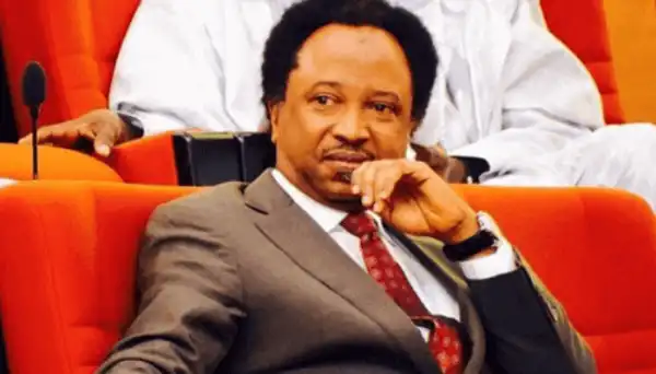 Released Oyo kidnapped students: New security framework needed – Shehu Sani