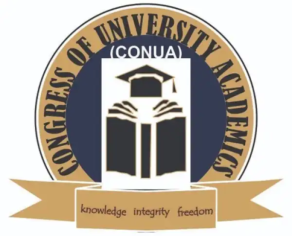 CONUA Coordinator Speaks On Being An APC Member